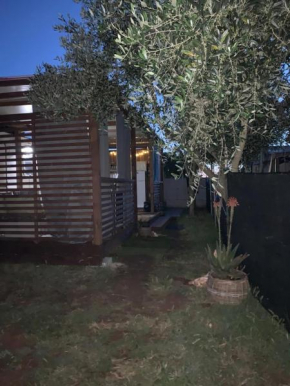 Large camper in the olive grove